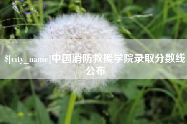 蓬莱中国消防救援学院录取分数线公布