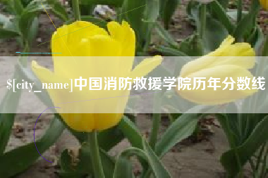 蓬莱中国消防救援学院历年分数线