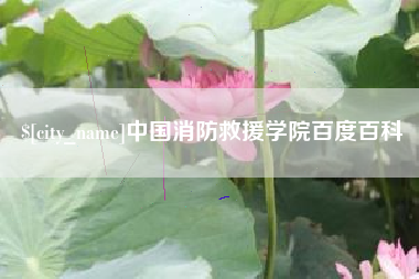 蓬莱中国消防救援学院百度百科