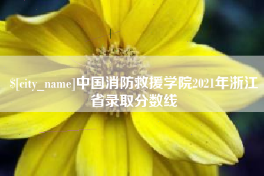 蓬莱中国消防救援学院2021年浙江省录取分数线