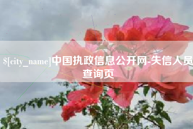 蓬莱中国执政信息公开网-失信人员查询页