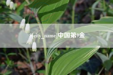 蓬莱中国第9金