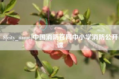 蓬莱中国消防官网中小学消防公开课