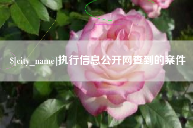 蓬莱执行信息公开网查到的案件