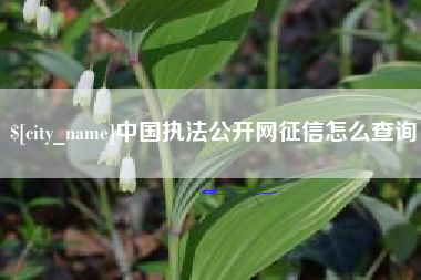 蓬莱中国执法公开网征信怎么查询