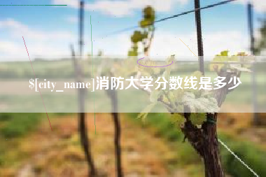 蓬莱消防大学分数线是多少