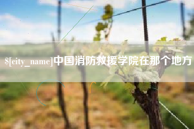 蓬莱中国消防救援学院在那个地方