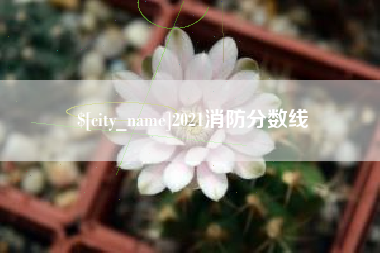 蓬莱2021消防分数线