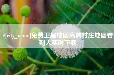 蓬莱免费卫星地图高清村庄地图看到人实时下载