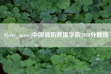蓬莱中国消防救援学院2018分数线