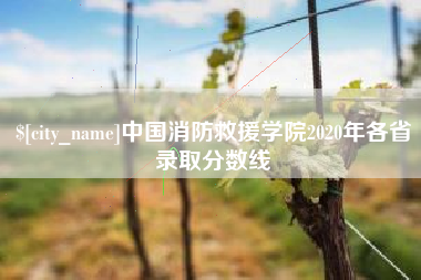 蓬莱中国消防救援学院2020年各省录取分数线