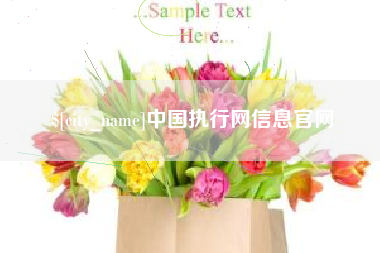蓬莱中国执行网信息官网
