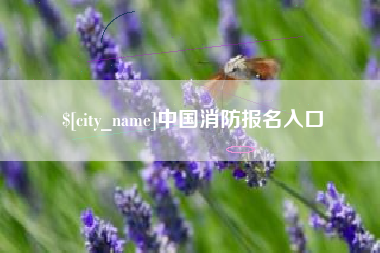 蓬莱中国消防报名入口
