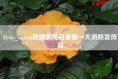 蓬莱我国消防日是哪一天消防宣传日