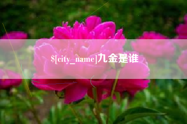 蓬莱九金是谁