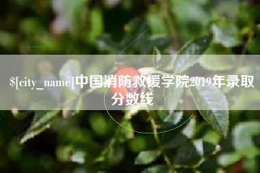 蓬莱中国消防救援学院2019年录取分数线
