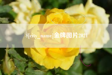 蓬莱金牌图片2021