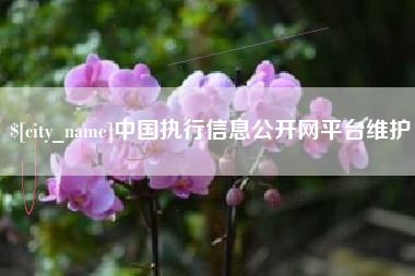 蓬莱中国执行信息公开网平台维护