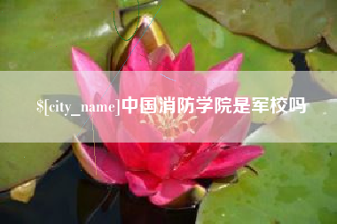 蓬莱中国消防学院是军校吗