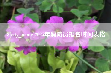 蓬莱2025年消防员报名时间表格