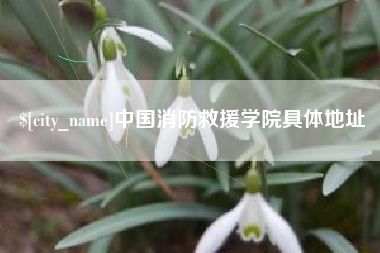 蓬莱中国消防救援学院具体地址