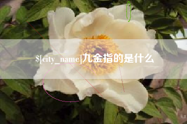 蓬莱九金指的是什么