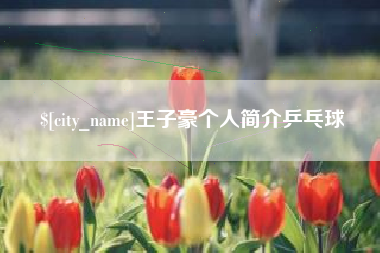 蓬莱王子豪个人简介乒乓球