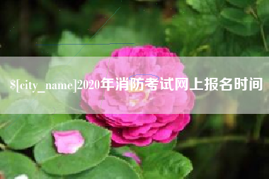 蓬莱2020年消防考试网上报名时间