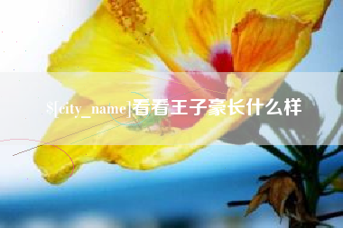 蓬莱看看王子豪长什么样