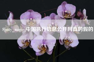 蓬莱中国执行信息公开网真的假的