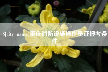 蓬莱重庆消防设施操作员证报考条件