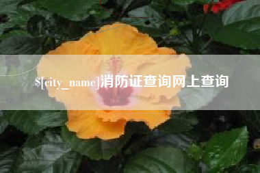 蓬莱消防证查询网上查询