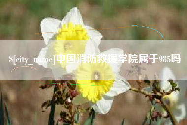 蓬莱中国消防救援学院属于985吗