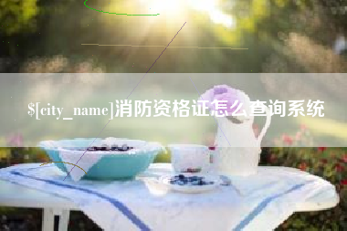 蓬莱消防资格证怎么查询系统