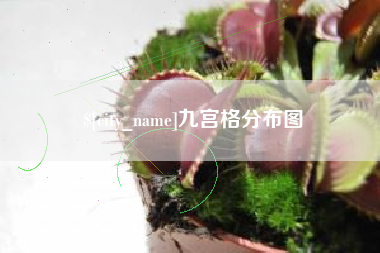 蓬莱九宫格分布图