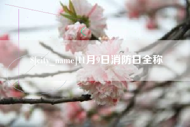 蓬莱11月9日消防日全称