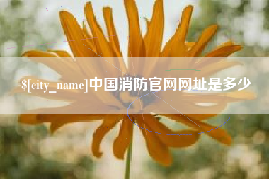 蓬莱中国消防官网网址是多少
