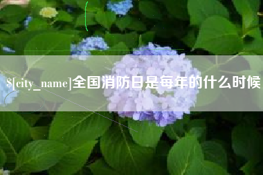 蓬莱全国消防日是每年的什么时候
