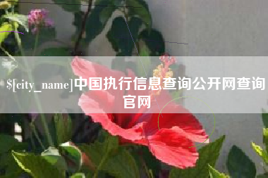 蓬莱中国执行信息查询公开网查询官网