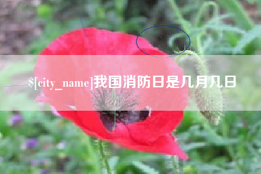 蓬莱我国消防日是几月几日