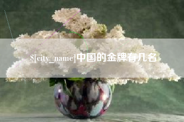 蓬莱中国的金牌有几名