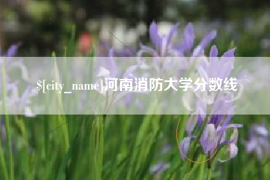 蓬莱河南消防大学分数线