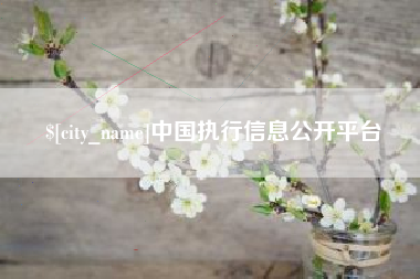 蓬莱中国执行信息公开平台
