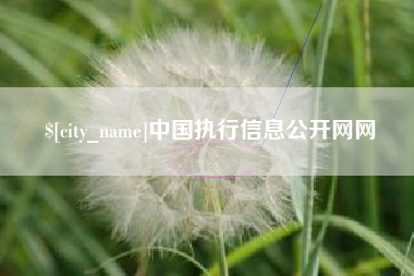 蓬莱中国执行信息公开网网