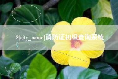 蓬莱消防证初级查询系统