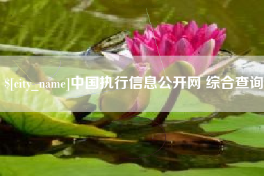 蓬莱中国执行信息公开网 综合查询