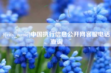 蓬莱中国执行信息公开网客服电话查询