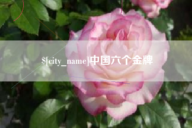 蓬莱中国六个金牌