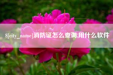 蓬莱消防证怎么查询,用什么软件