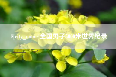 蓬莱全国男子5000米世界纪录